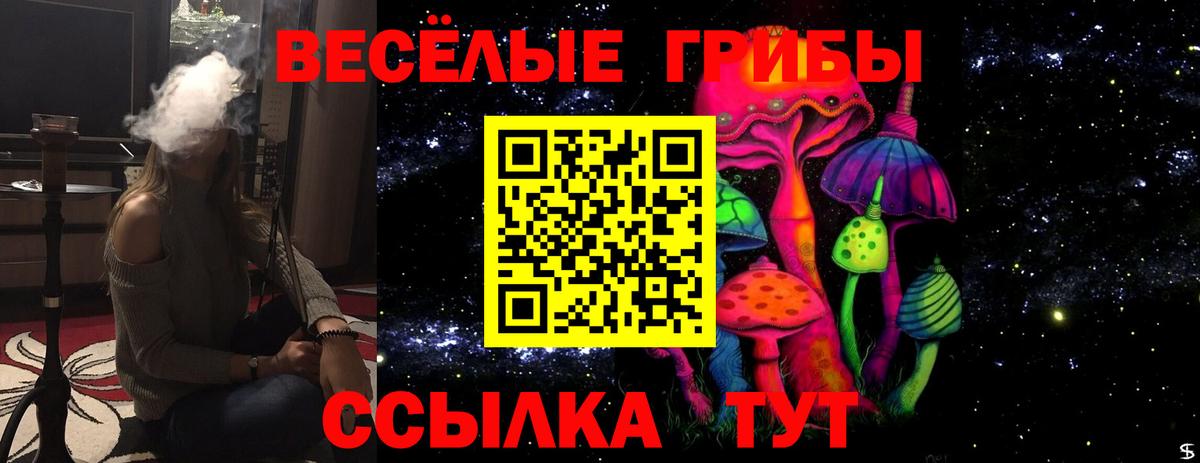 Алушта  Псилоцибиновые грибы прущие грибы  Галлюциногенные грибы GOLDEN TEACHER  Вход с VPN 